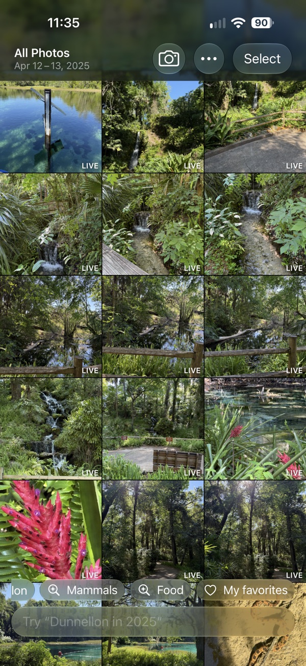 Photopool screenshot 1